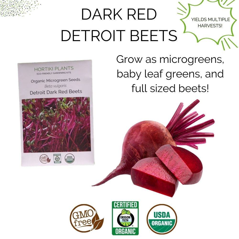 Organic Beets Garden Kit