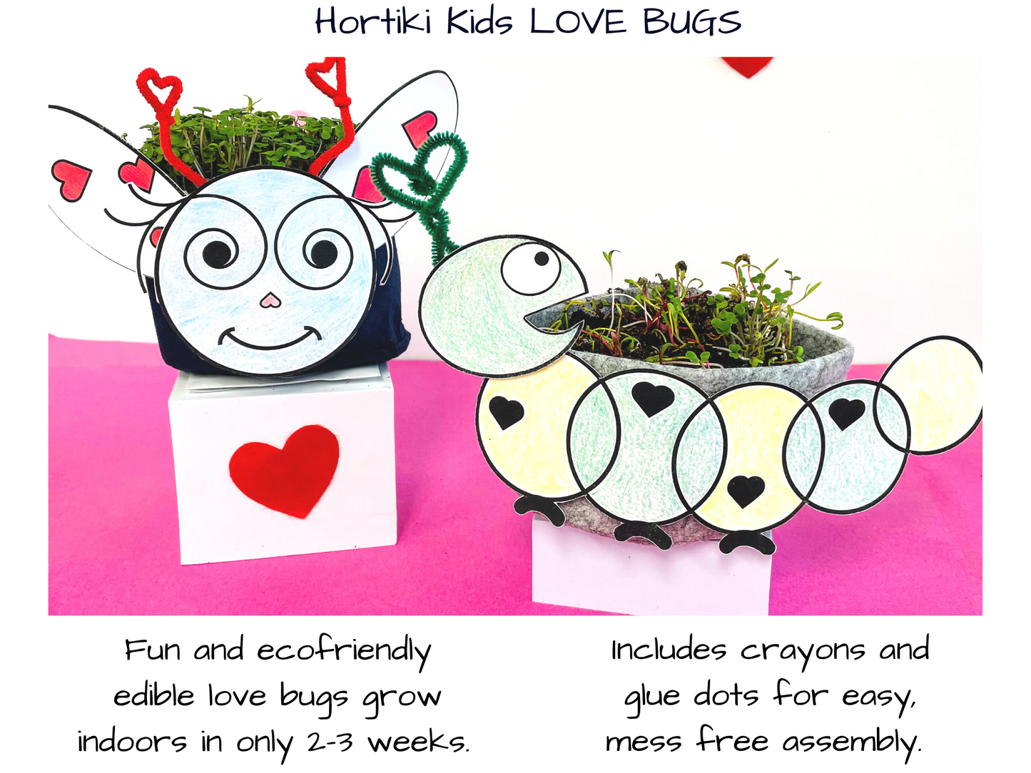 Love Bugs Kids Garden Kit