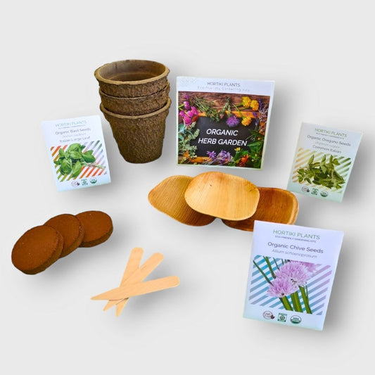 Organic Kitchen Herb Garden Kit. Indoor Garden. Windowsill Garden