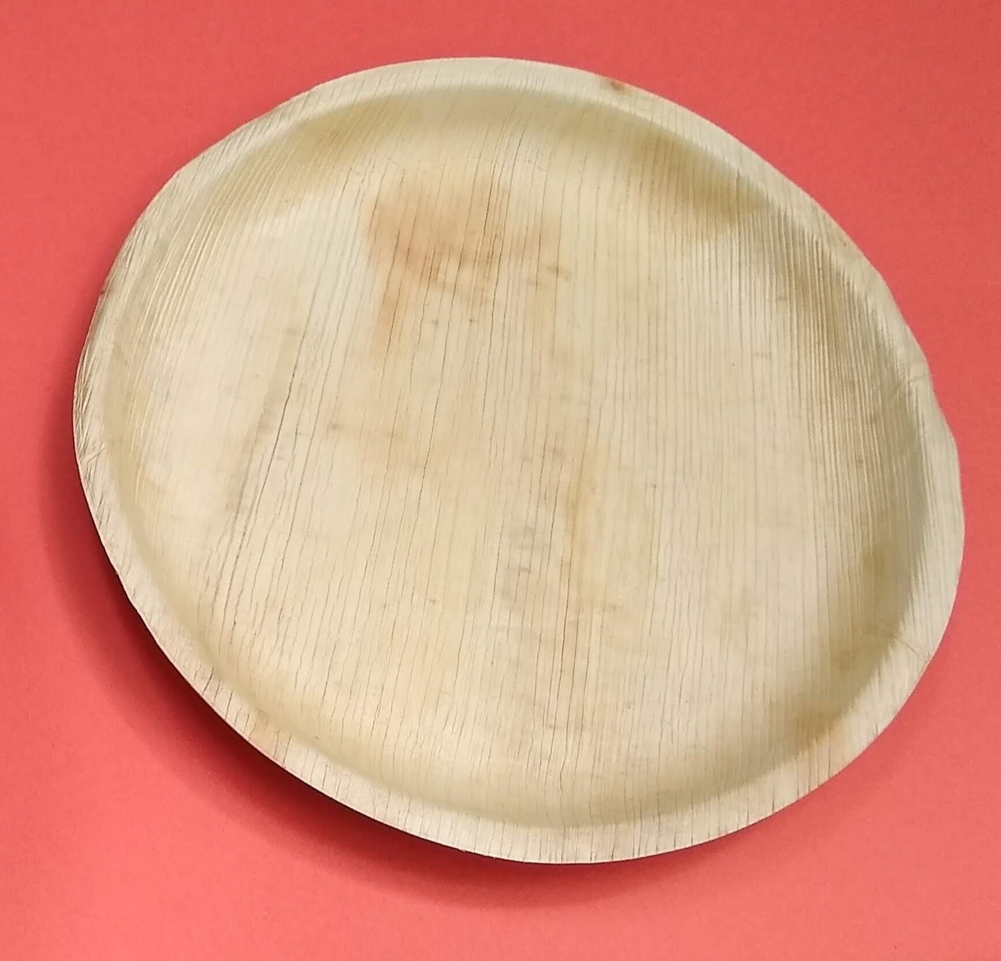 Large 12" Biodegradable Plant Trays