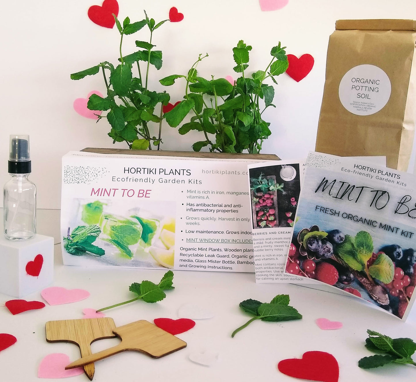 Organic Mint Plants Indoor Window Box Garden Kit