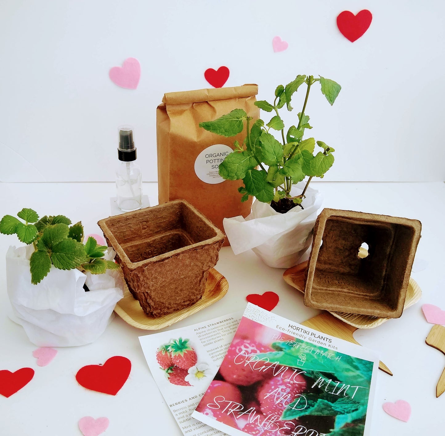 Organic Strawberry and Chocolate Mint Indoor Garden Kit