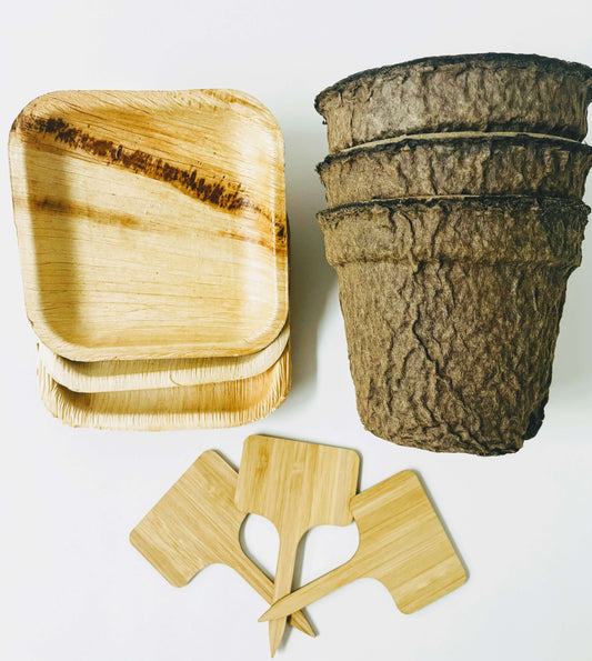 Biodegradable Plant Containers and Trays