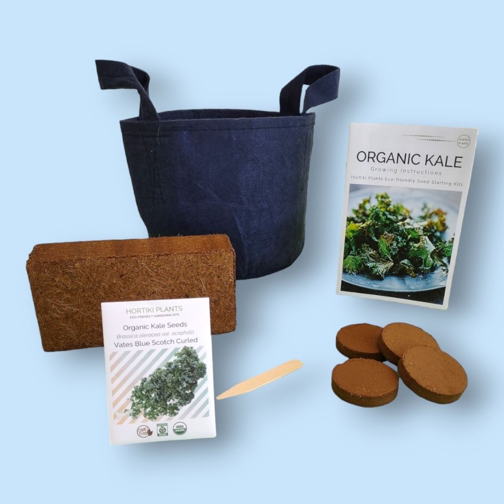Organic Kale Container Garden Kit.