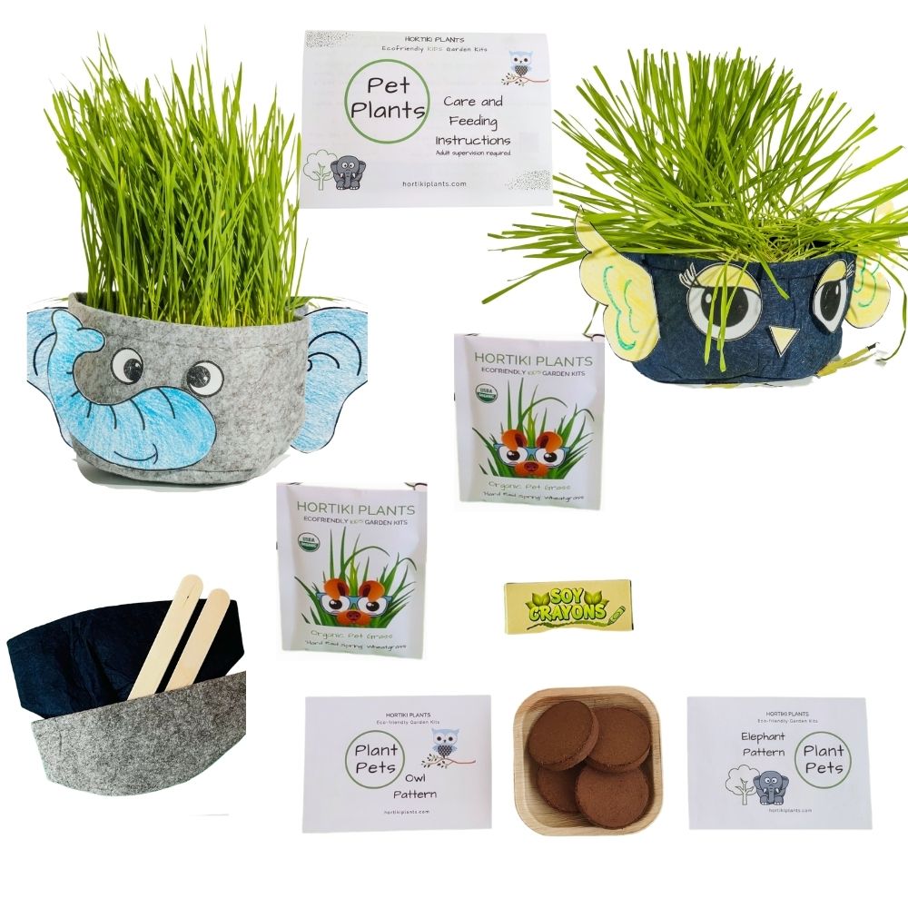 Kids Plant Pets. Kids Craft & Kids Garden Kit. Gifts for Kids.