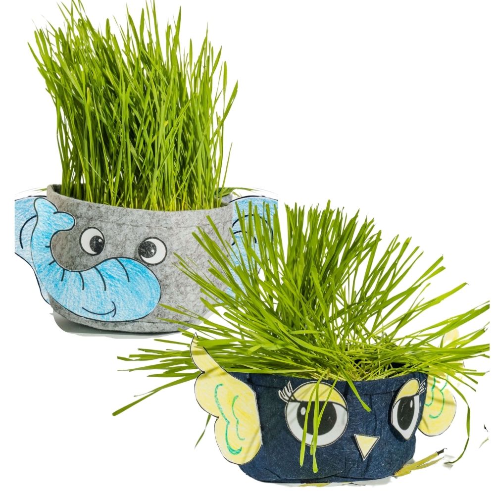 Kids Plant Pets. Kids Craft & Kids Garden Kit. Gifts for Kids.