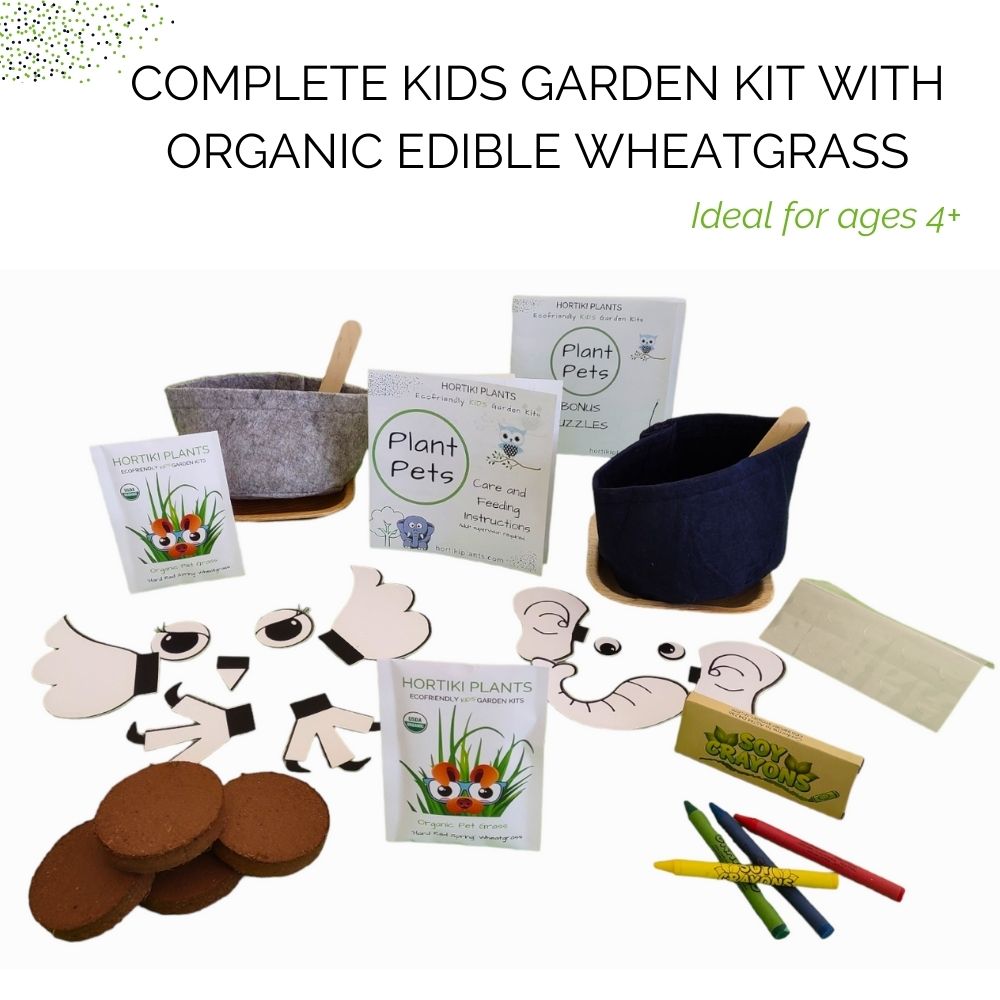 Kids Plant Pets. Kids Craft & Kids Garden Kit. Gifts for Kids.