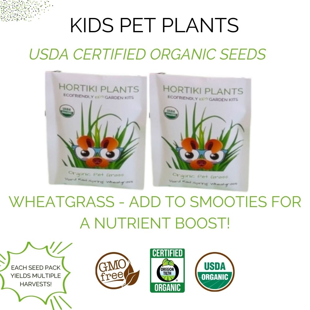 Kids Plant Pets. Kids Craft & Kids Garden Kit. Gifts for Kids.