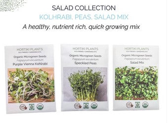 Seed Refill - Organic Microgreens Salad