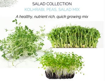 Seed Refill - Organic Microgreens Salad