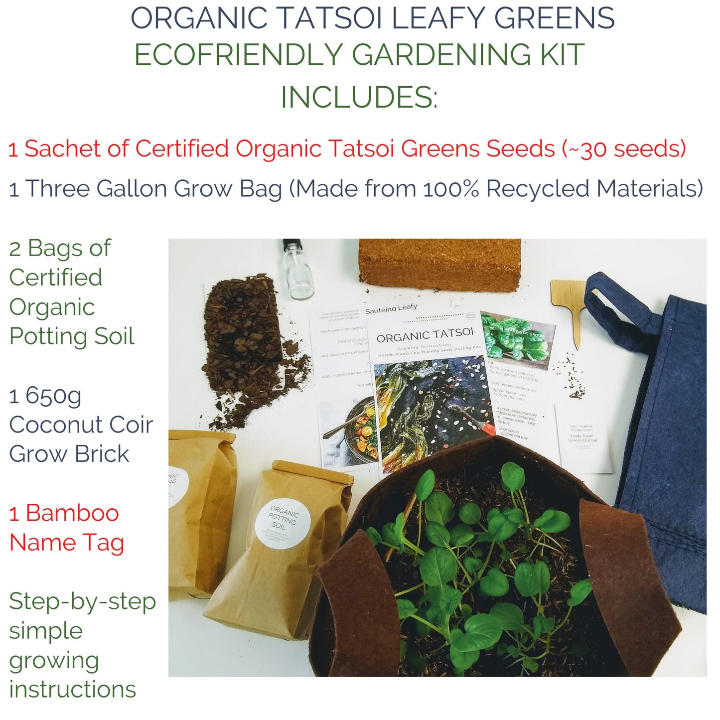 Organic Asian Tatsoi (Leafy Green) Garden Kit.