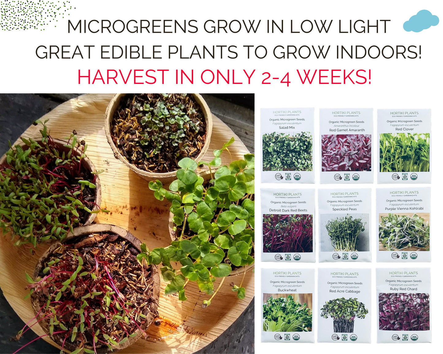 Mega Microgreens! Organic Seed Collection