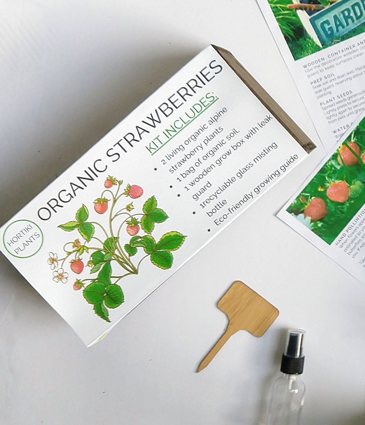 Organic Strawberry Kit (Live Strawberry Plants)